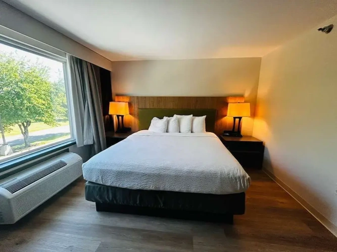 Economy Single room