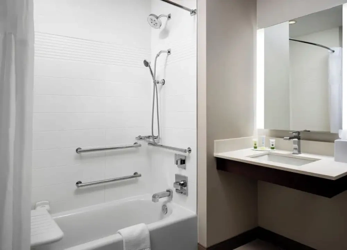 1 Bedroom Suite