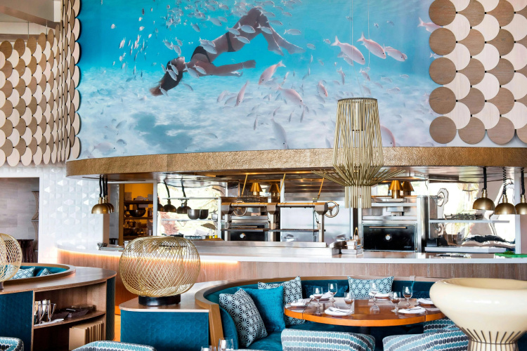 The Cove Atlantis photo 27