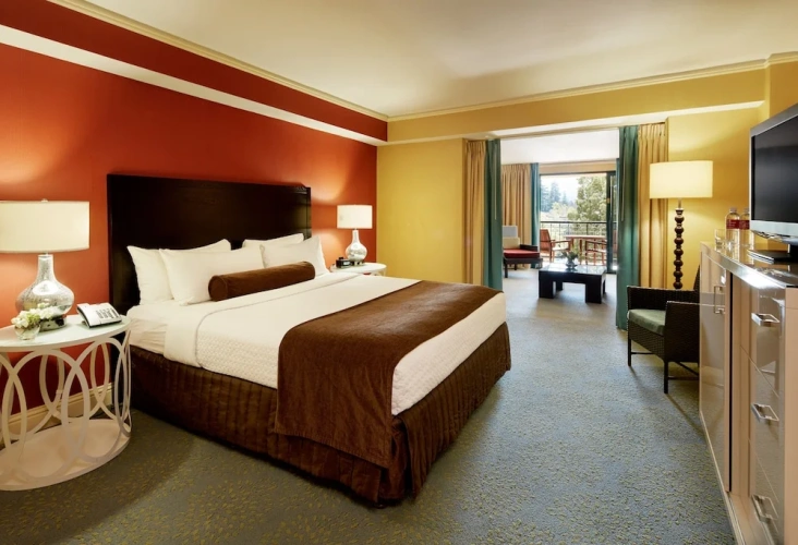 Premium Double room with pool view