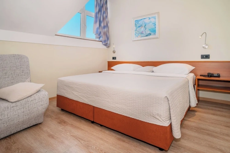 Standard Double room with mountain view