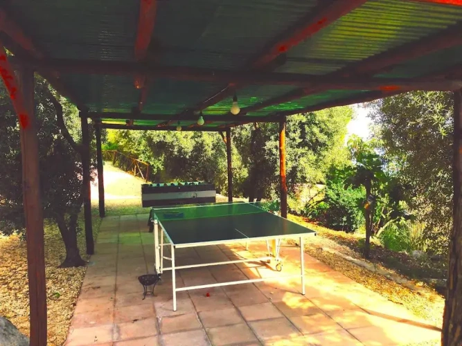 Comfort Villa