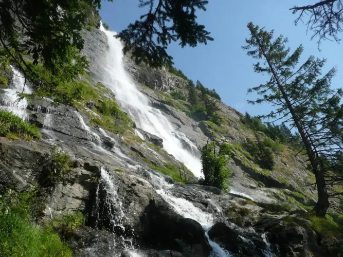 Le Perce Neige