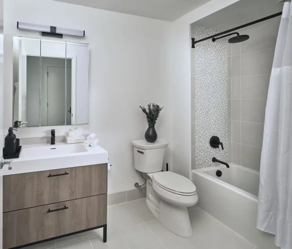 1 Bedroom Luxury Apartment