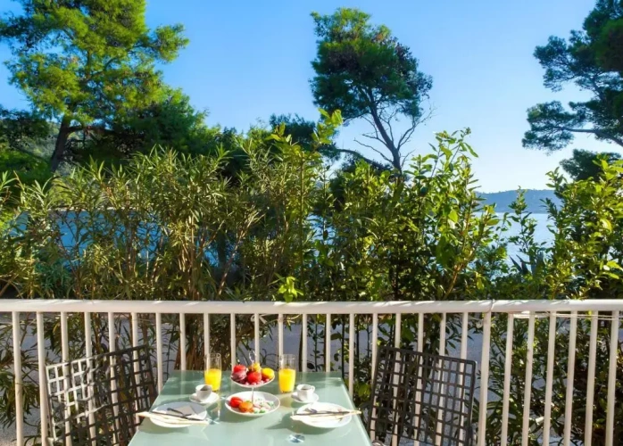 Standard Studio with balcony and with view