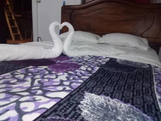Palacios Arenal - Hostel