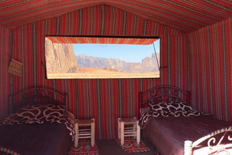 Momoo's Camp