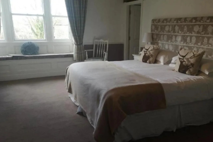 OYO New Inn Hotel