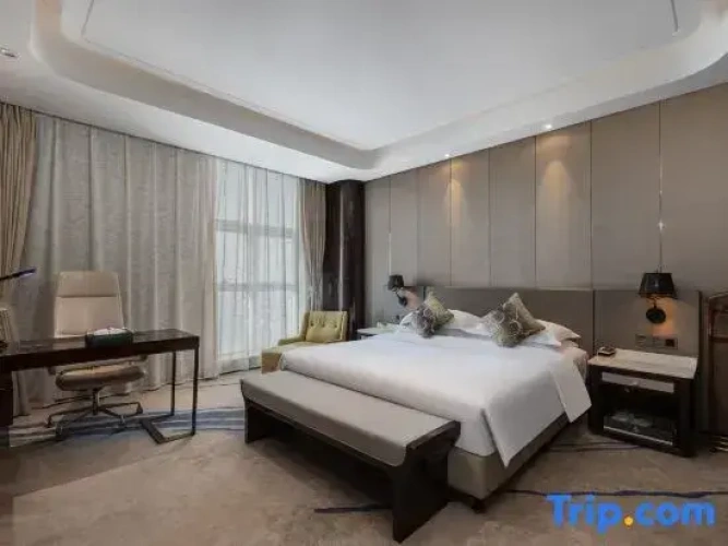 Executive Suite with city view