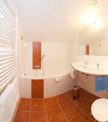 1 Bedroom Comfort Double room with mountain view
