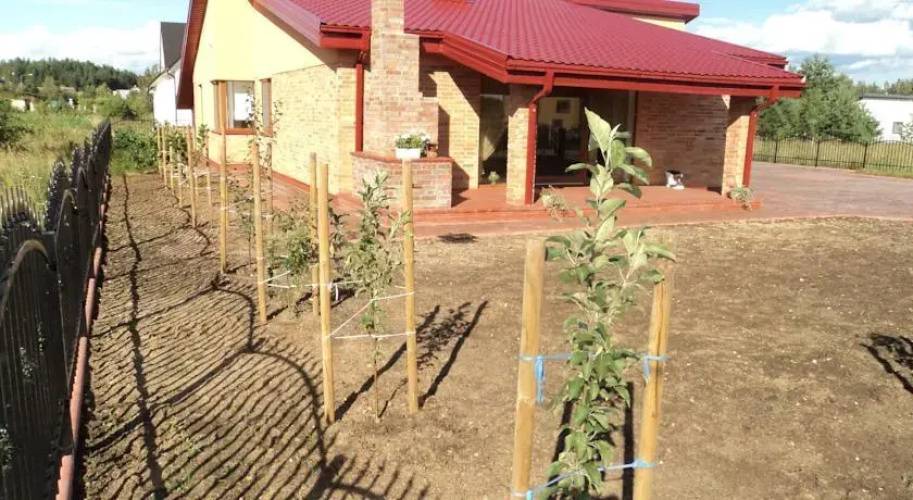 NK house