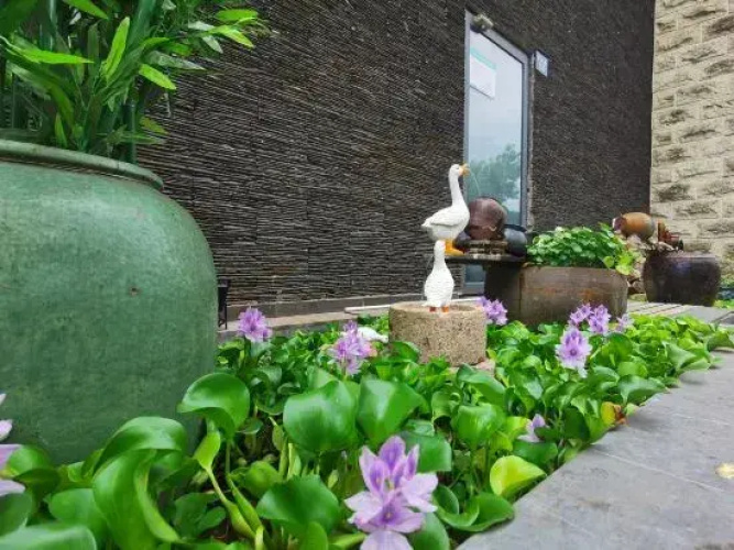 A Balance Hotel