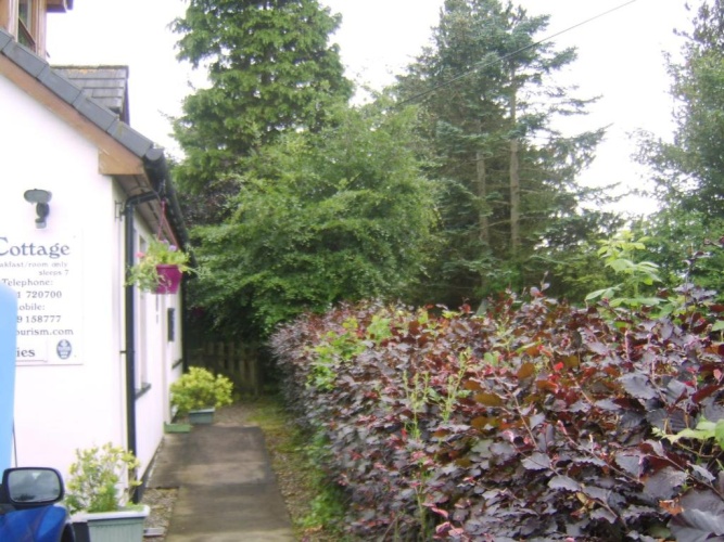 3 Bedrooms Cottage