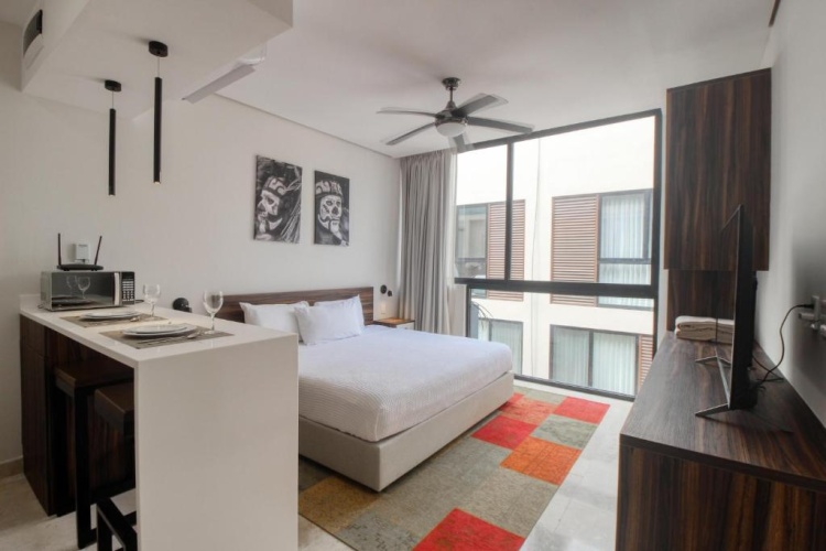 1 Bedroom Apartment