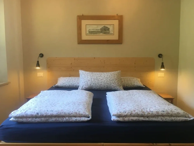 Standard Double room with garden view