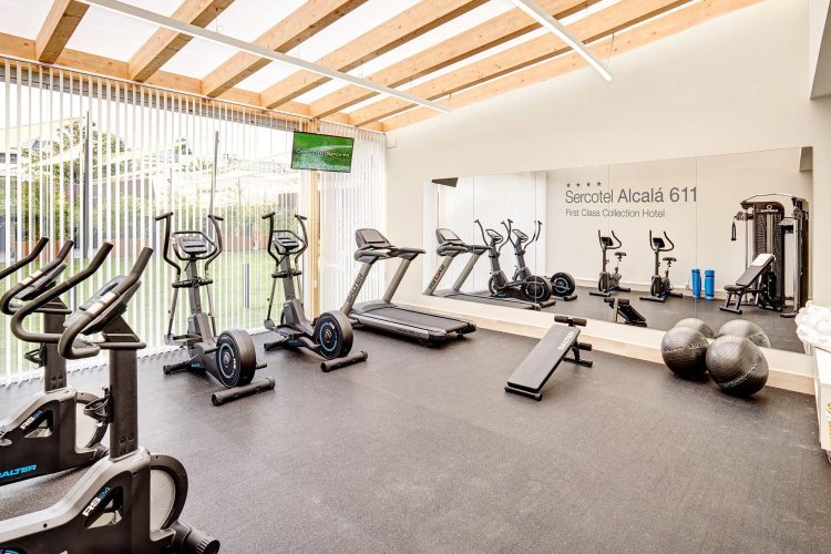 Sercotel Alcala 611 Hotel (Ex-Tryp Madrid Alcala 611 Hotel) photo 31