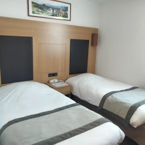 Classic Twin room