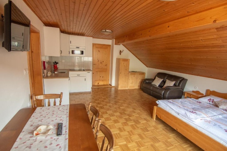 1 Bedroom Apartment