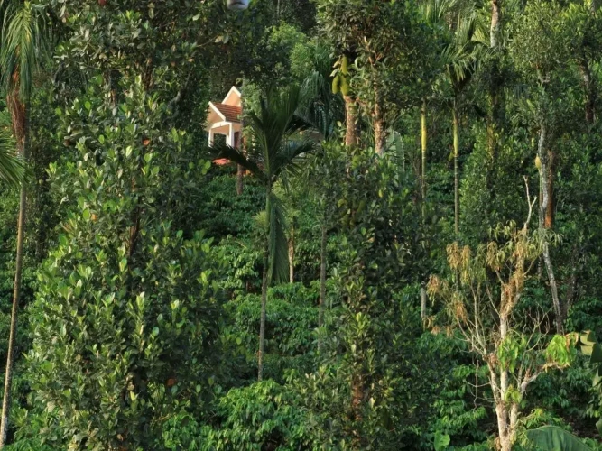 Superior Villa with balcony and with view