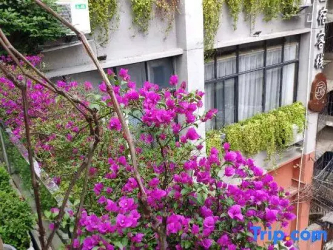 Yihua Yisu Hostel