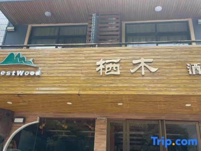 Rest Wood Theme Hotel