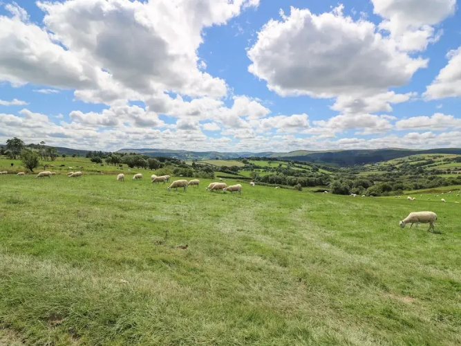Hillside View