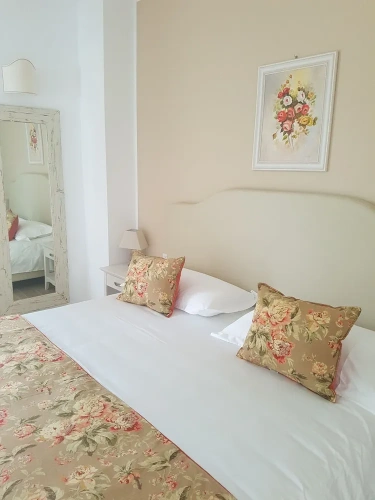 Standard Double room with balcony and with lake view