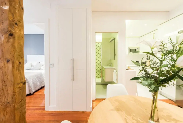 Nice studio in Malasaña