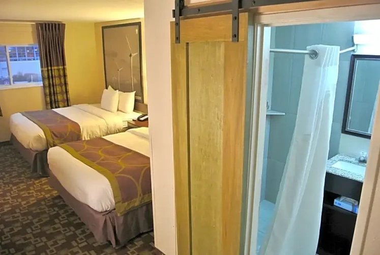 Standard Double room