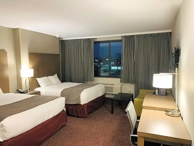 Double Suite