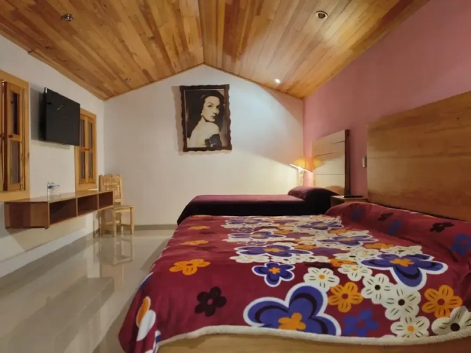 Standard Double Family room