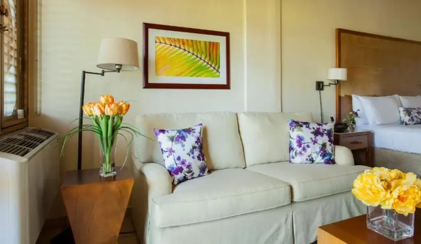 1 Bedroom Suite