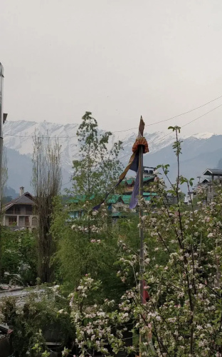 New Manali Villa