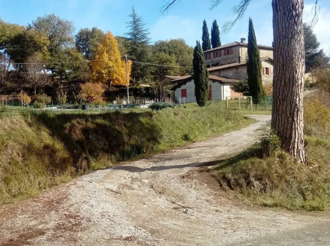 Tana Del Tasso