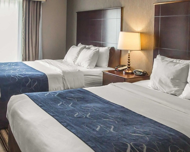 Quadruple Suite