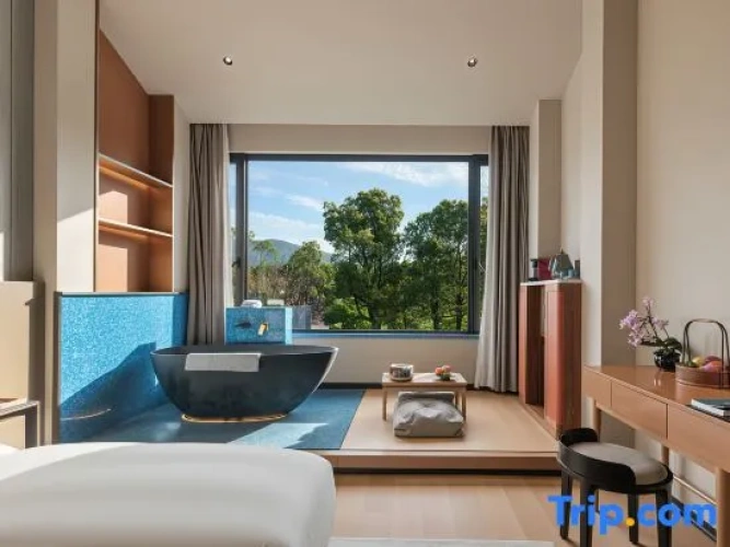 Deluxe Double room with mountain view
