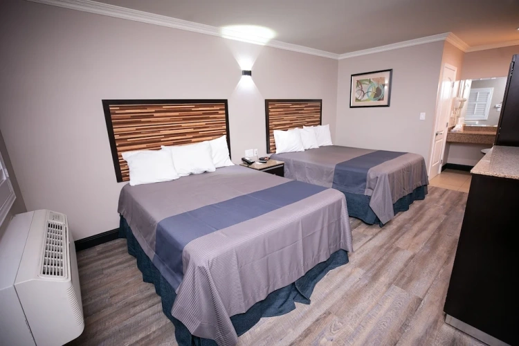1 Bedroom Standard room