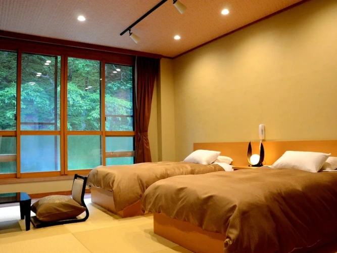 Standard Twin room with river view