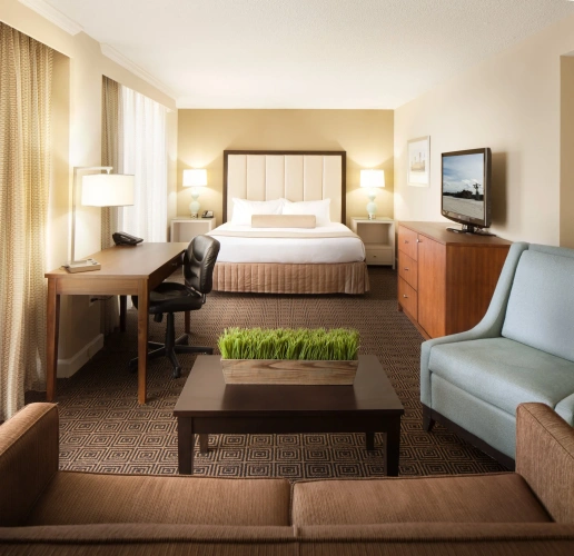 Double Junior Suite with river view