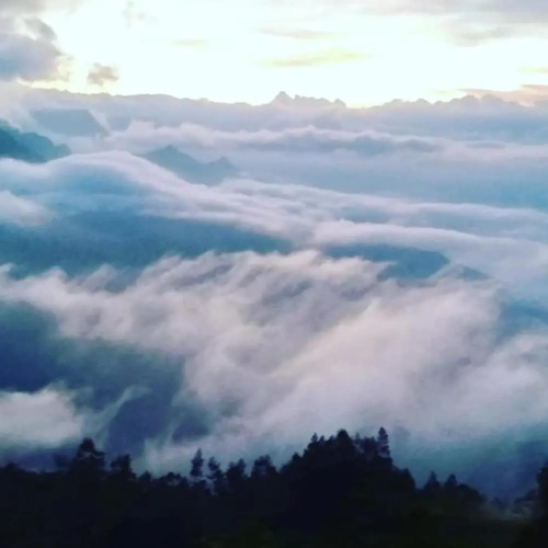 Munnar Jungle Camp