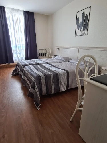 Standard Twin room with balcony and with sea view