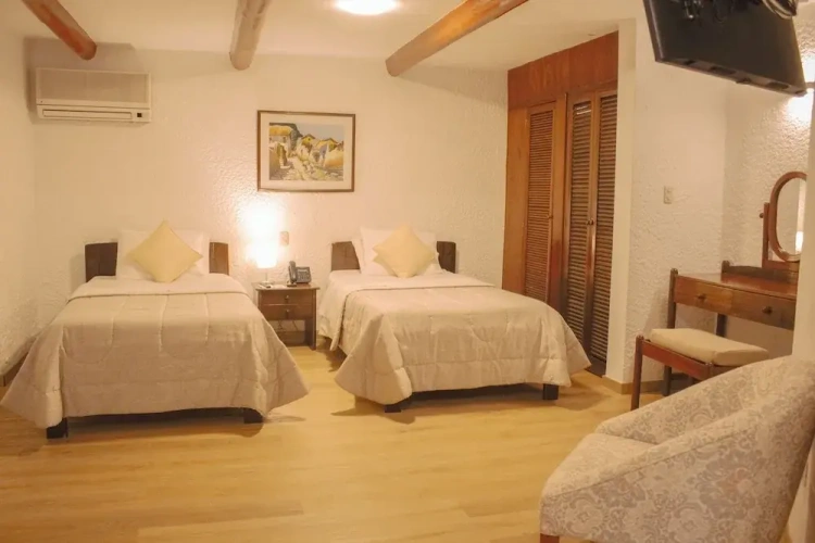 Executive Twin room with garden view