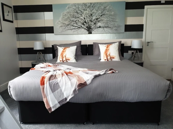 Superior Suite