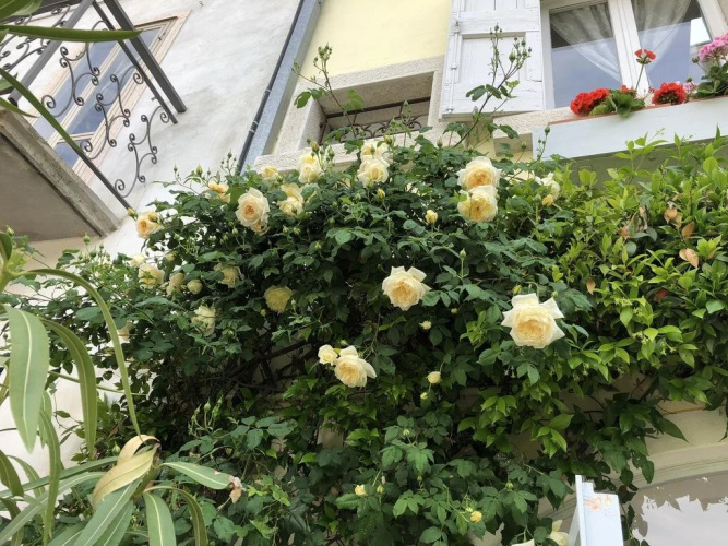B&B Casapiù