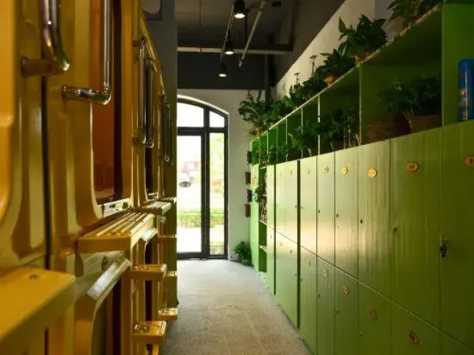 Backpacker Youth Hostel