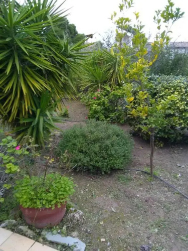 Andie's Residence