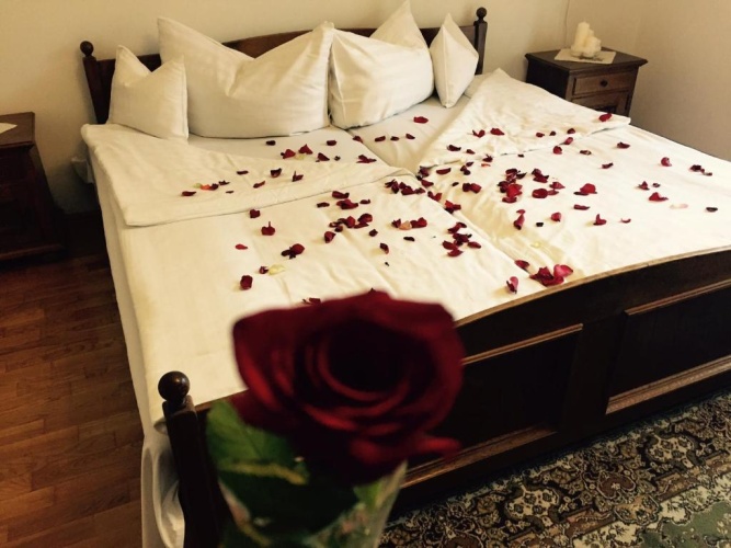 1 Bedroom Suite