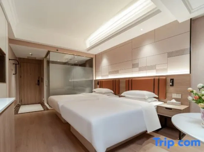Standard Twin room with city view
