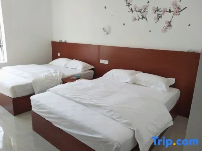 Standard Twin room with city view