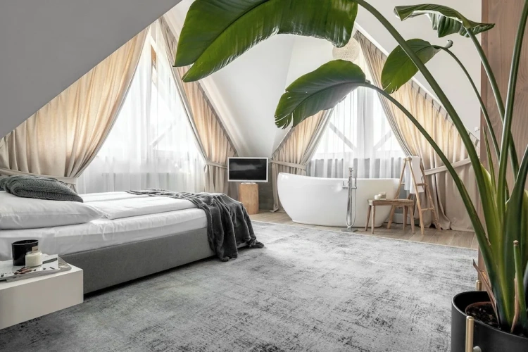 1 Bedroom Deluxe Suite